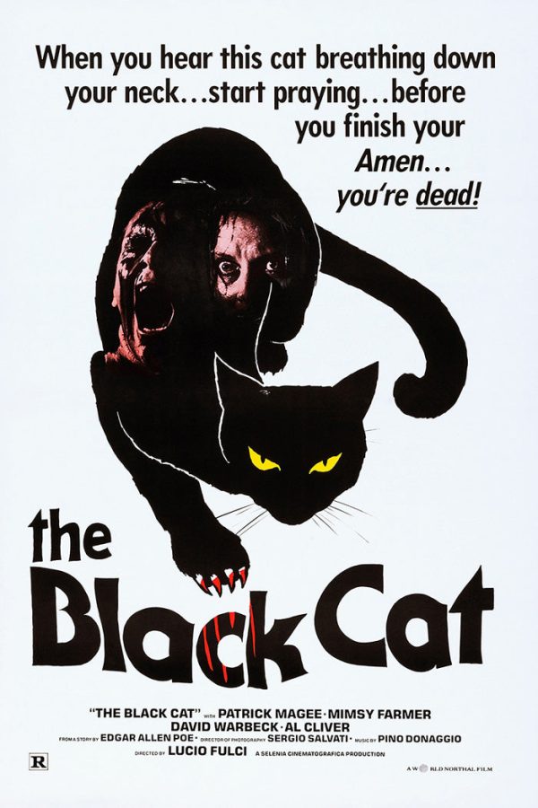Black Cat Discount - Image 2