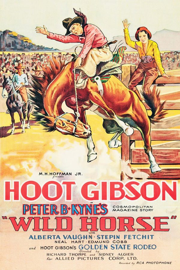 Wild Horse Sale
