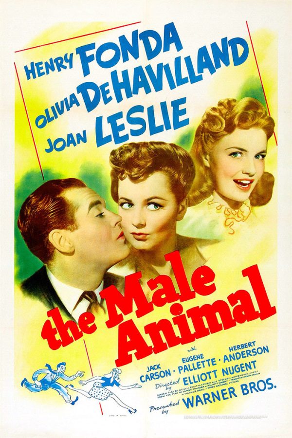 Male Animal Cheap