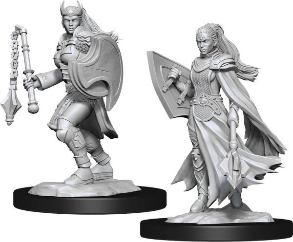 Dungeons and Dragons: Nolzur s Marvelous Unpainted Miniatures - W14 Kalashtar Cleric Female For Cheap