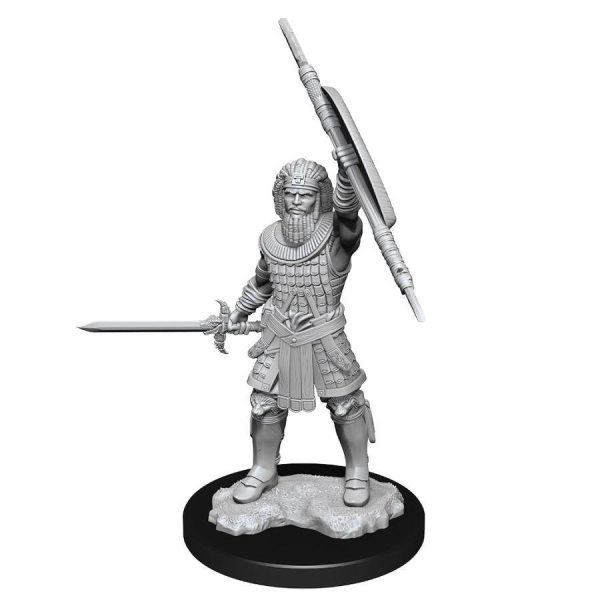 DUNGEONS AND DRAGONS NOLZUR S MARVELOUS MINIATURES: W13 MALE HUMAN FIGHTER For Discount