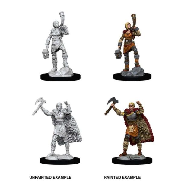 Dungeons & Dragons: Nolzur s Marvelous Unpainted Miniatures - W12 Female Human Barbarian For Sale