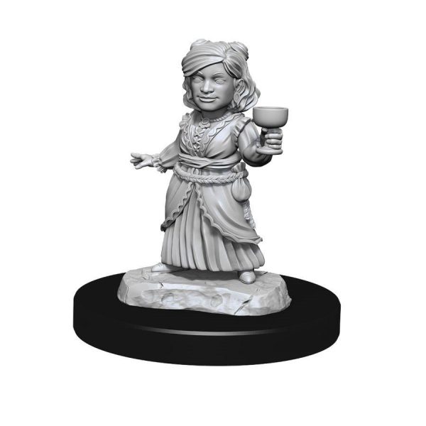 DUNGEONS AND DRAGONS NOLZUR S MARVELOUS MINIATURES: W13 SILVER DRAGON WYRMLING AND FEMALE HALFLING Online