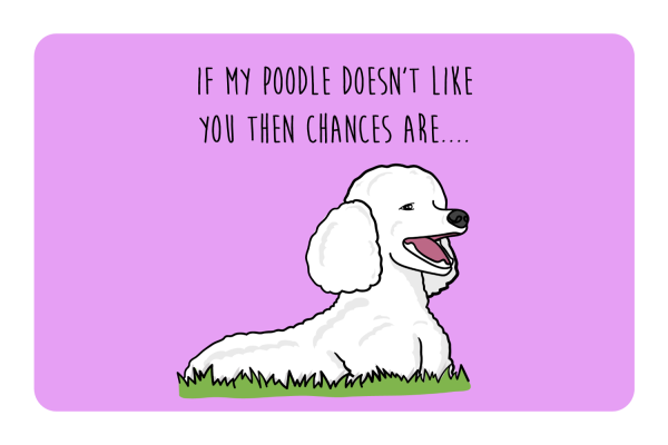 My Poodle don t like you Cheap