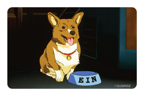 Ein wants food Hot on Sale