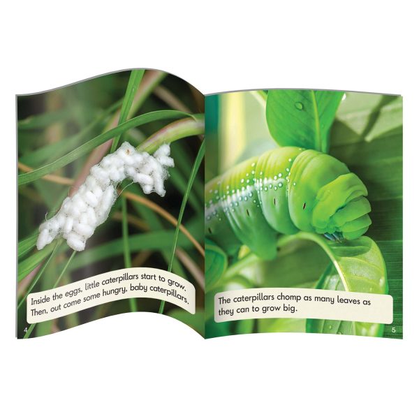 Science Decodables Phase 6 Non-Fiction Hot on Sale - Image 3