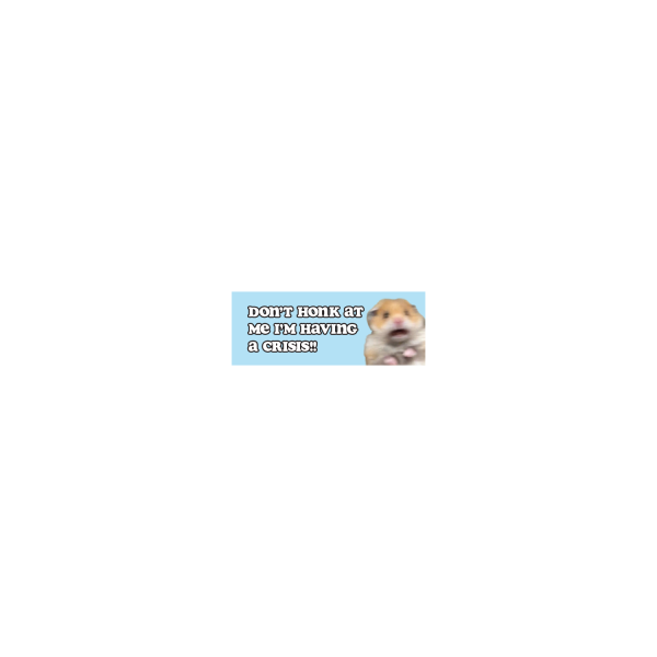 Don t Honk at Me I m Having A Crisis Cheap - Image 3
