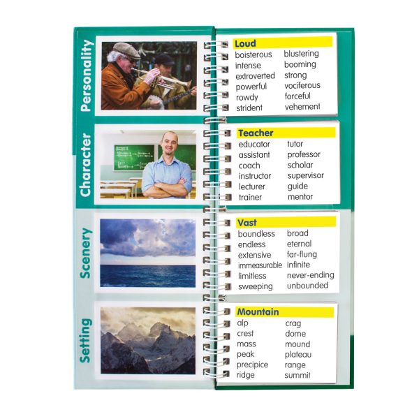 Word Finder Flips For Cheap - Image 3