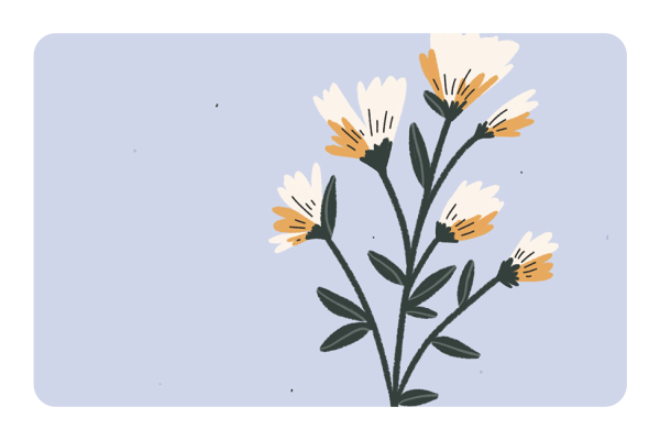 Lilac Flowers Supply