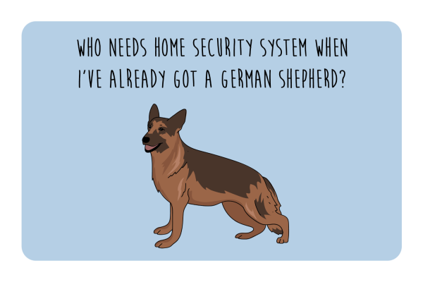 Security Shepard Online
