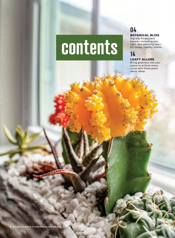 Houseplants & Indoor Gardening - Botanical Bliss: Explore The Vibrant World Of Indoor Gardening, 75 Stunning Container Ideas, Transform Your Home, Grow Indoor Herbs, DIY Projects, Tips & More! Discount - Image 2