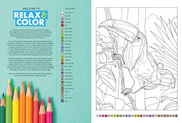Relax and Color - Beautiful and Inspiring Coloring Book: Relax and Get Away From Stress with 32 Intricate Amazing Designs Supply - Image 2