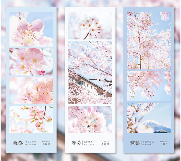 Spring Cherry Blossom Hanami Deco Stickers Online - Image 3
