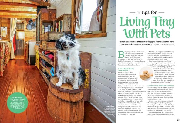 Tiny Homes - Living Large In Small Houses! Downsize With Style, How To Save, Organizing Tips With The Best Pre-Built Designs, Family-Friendly Solutions & Essential Building Checklist! For Sale - Image 2