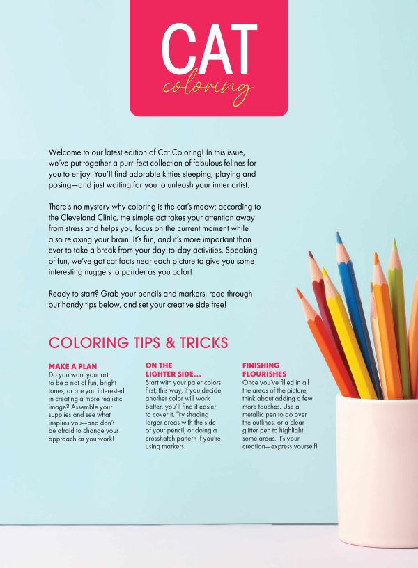 Cat Coloring - 32 Adorable Designs, Adult Coloring Book, Kittens Sleeping, Playing & Posing, Relax Your Brain, De-Stress, Unwind, Unplug, Self-Care, Embrace Creativity, Boost Focus & Feline Fun! Sale - Image 2