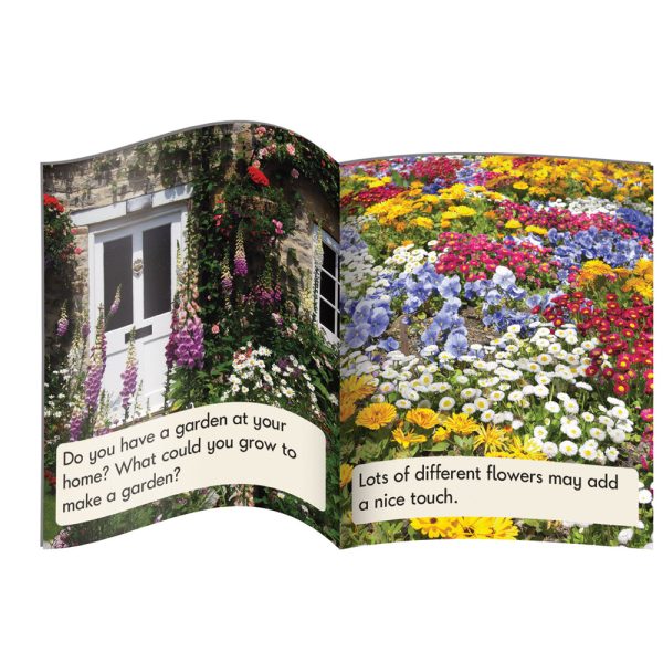 Letters & Sounds Phase 5 Set 1 Non-Fiction on Sale - Image 3