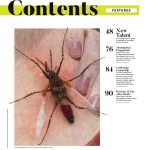 Art In America - Fall 2024: New Talent, 20 Artists To Watch, Replacing Confederate Statues, How To Fight Censorship, Pete Hujar: Life After Death, The Art-Tech Manosphere, Venice Diary & More! on Sale - Image 2