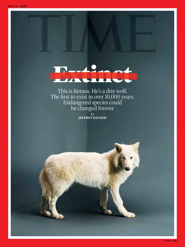 Preorder: TIME Magazine - 05.12.25 Edition: WOLF Extinct no more on Sale