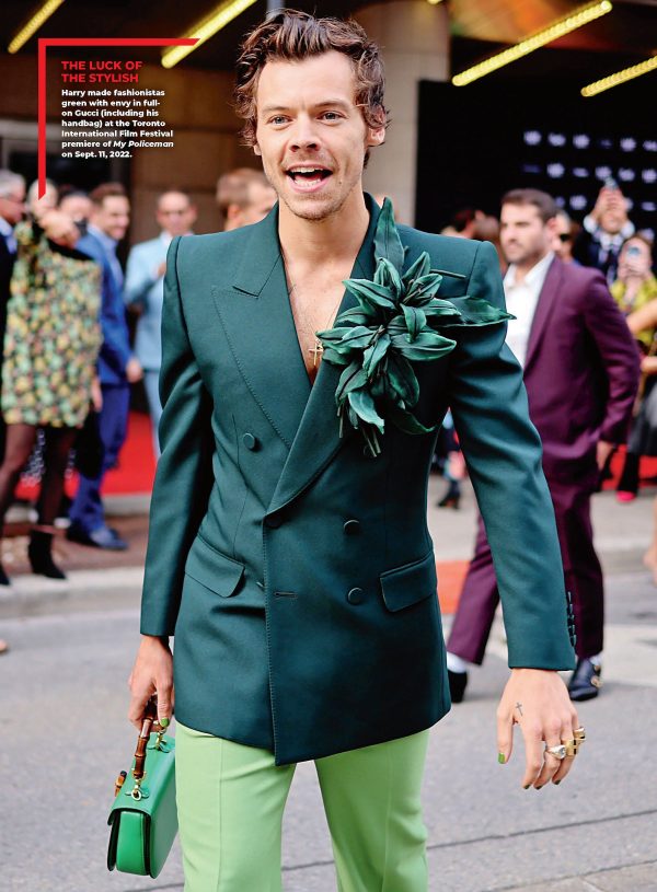 Harry Styles - Style Album: 150 Photos, Love On Tour Era, As It Was, One Direction, Jumpsuits, Nail Polish, Gender-Neutral, Vogue Cover, Gucci, Haute Couture, Mick Jagger & David Bowie Fashion Trends! Hot on Sale - Image 4