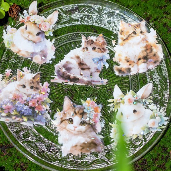Blossom Animal Delight Holo Stickers - Limited Stock on Sale - Image 4