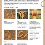 Wild Days - Outdoor Activities Guide For Kids: 50 Easy-To-Follow Projects, New Skills, Explore Nature, Tracking Wildlife, Building Nests, Leaf Printing, Shelters, Camp Fire, Bubbles, Games & More! For Sale - Image 4