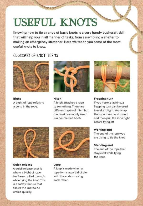Wild Days - Outdoor Activities Guide For Kids: 50 Easy-To-Follow Projects, New Skills, Explore Nature, Tracking Wildlife, Building Nests, Leaf Printing, Shelters, Camp Fire, Bubbles, Games & More! For Sale - Image 4