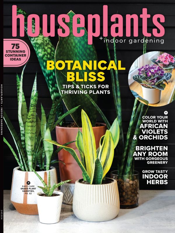 Houseplants & Indoor Gardening - Botanical Bliss: Explore The Vibrant World Of Indoor Gardening, 75 Stunning Container Ideas, Transform Your Home, Grow Indoor Herbs, DIY Projects, Tips & More! Discount