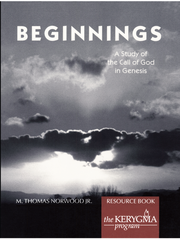 Beginnings  A Study of the Call of God in Genesis Sale
