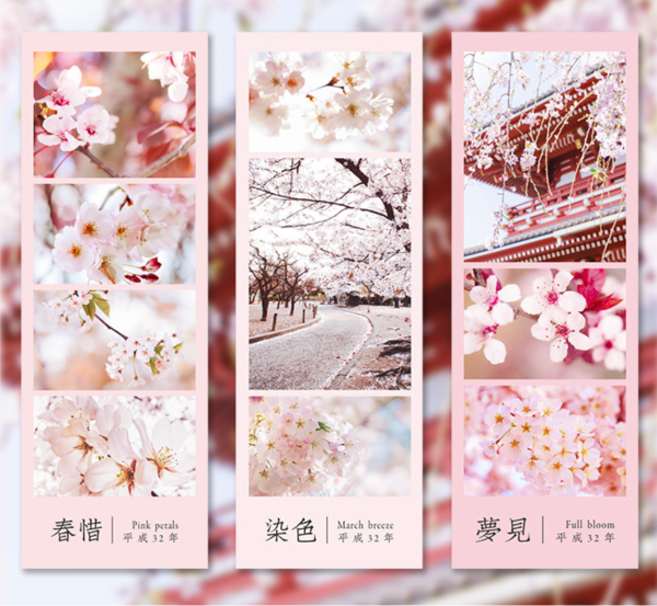 Spring Cherry Blossom Hanami Deco Stickers Online - Image 4