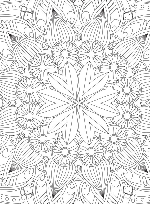 Soothing Color - Nature-Themed Coloring Book For Adults: Color Your Way To Calm! Relax Your Mind, De-Stress, Unwind, Unplug, Reduce Anxiety, Reflect, Spark Your Creativity, Limit Screen Time & More! Supply - Image 4