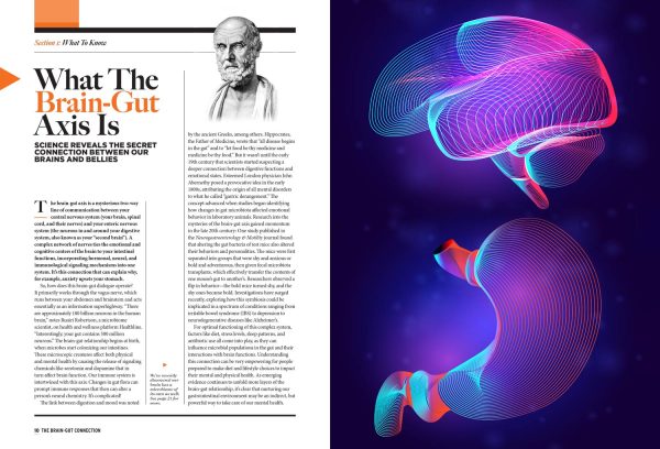 Brain-Gut Connection -  Your Guide On Gut Health: Enhance Brain Function, Manage Moods, Reduce Anxiety, Focus, Sleep, Mindful Practices, Dietary Approaches, Making Healthier Life Choices & More! Hot on Sale - Image 3