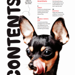 Inside Your Dog s Mind - The Happiness Issue: The Art Of Adventure & Play, Tips & Techniques To Fill Your Furry Friend s Lives With Joy, Playtime, Proper Nutrition, Return Gestures Of Love & More! Fashion - Image 2