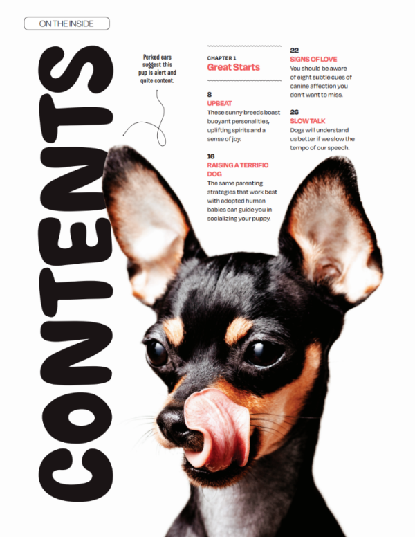 Inside Your Dog s Mind - The Happiness Issue: The Art Of Adventure & Play, Tips & Techniques To Fill Your Furry Friend s Lives With Joy, Playtime, Proper Nutrition, Return Gestures Of Love & More! Fashion - Image 2