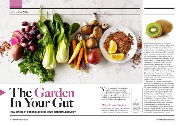 Brain-Gut Connection -  Your Guide On Gut Health: Enhance Brain Function, Manage Moods, Reduce Anxiety, Focus, Sleep, Mindful Practices, Dietary Approaches, Making Healthier Life Choices & More! Hot on Sale - Image 4