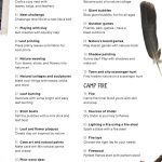 Wild Days - Outdoor Activities Guide For Kids: 50 Easy-To-Follow Projects, New Skills, Explore Nature, Tracking Wildlife, Building Nests, Leaf Printing, Shelters, Camp Fire, Bubbles, Games & More! For Sale - Image 3