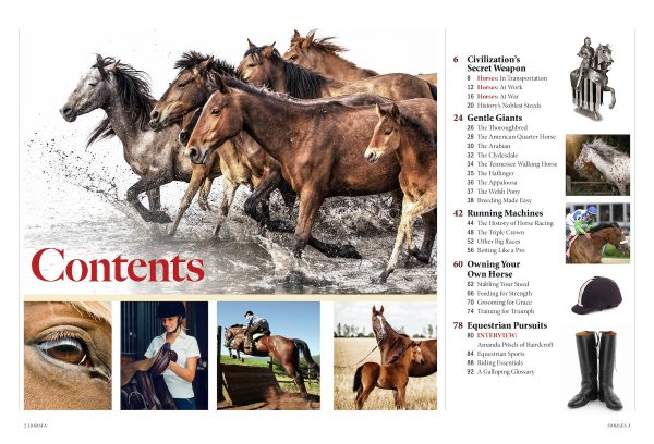 Horses - The Complete Guide: Expert Riding & Training Tips, Stable Care, Breeding Mastery, Racing, Betting, Breeds From Clydesdales To Arabians, Icons Like Secretariat & History s Noblest Steeds! Fashion - Image 2