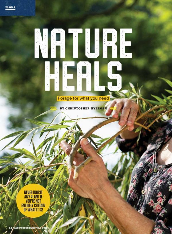 Backwoods Survival Guide - Living Off The Land No. 27: 200+ Essential Tips, Making Bandages, Medicinal Plants, Fish Trapping, Outdoor Cooking, Weather Predictions, Protecting Pets, Knife & Gear Review Discount - Image 3