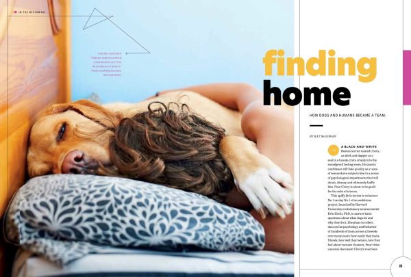 Popular Science - Secrets of a Dogs Mind: Decoding Your Pet s Body Language and Figuring Out Their Thoughts and Feelings! Find Out the Real Meaning Behind All of the Woofs, Barks and Growls! Fashion - Image 3