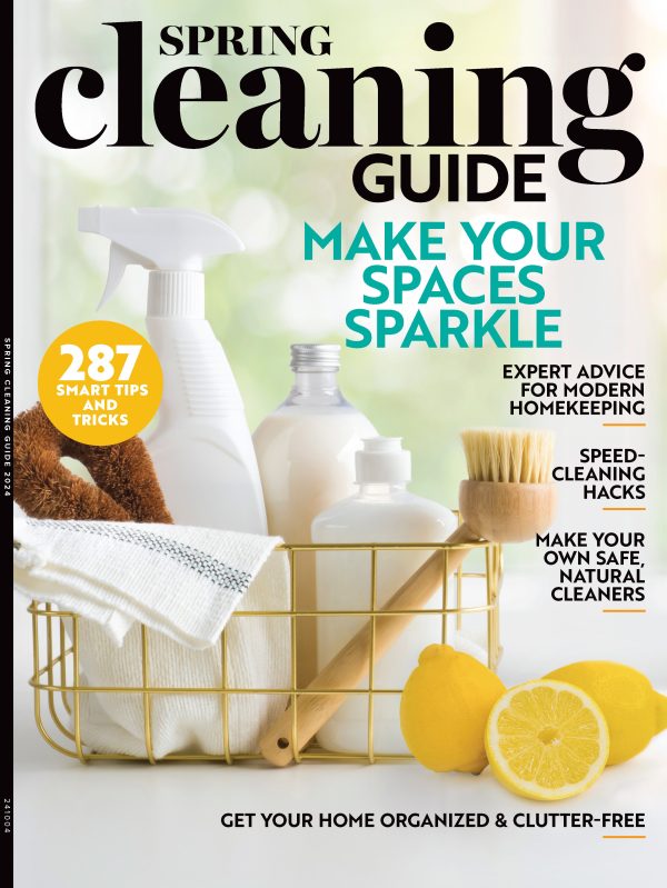 Spring Cleaning Guide - 287 Smart Tips & Tricks, Speed-Cleaning Hacks, Supplies, Stubborn Stains, Pet Messes, Clutter Cures, Storage, Germ Hot Spots, Fresh Scents, Outdoors, DIY Safe Cleaner & More! Supply