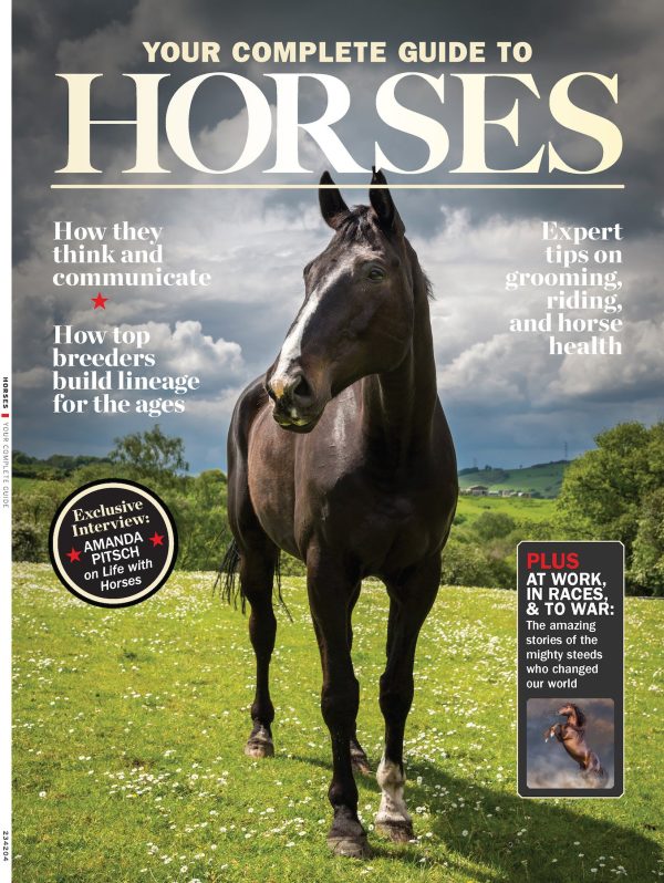 Horses - The Complete Guide: Expert Riding & Training Tips, Stable Care, Breeding Mastery, Racing, Betting, Breeds From Clydesdales To Arabians, Icons Like Secretariat & History s Noblest Steeds! Fashion