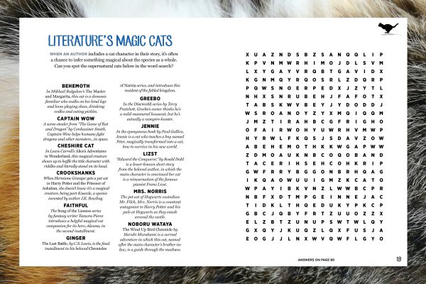 Cat Pawzzles - Brain Teasers: Volume 1 Containing: Word Search, Jumble, Spot The Difference, Find The Cat & Much More! Hot on Sale - Image 2