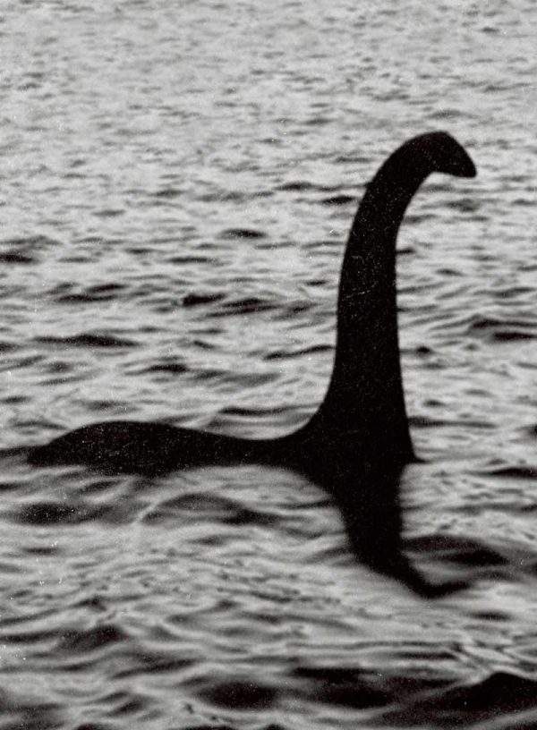 Loch Ness Monster - Unsolved Mystery, Nessie, Prehistoric, Scottish Highlands, Sightings, Secrets, Evidence, Zoology, Scientific Studies, Facts & Fiction, Literature, Theories, Debunking & Believers! Online now - Image 5