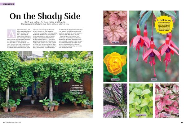 GARDEN STYLE - Guide to Container Gardening With 197 Beautiful & Colorful Ideas! DIY Tips and Ideas Using Planters, Pots, Flowers To Create Your Own Garden Oasis! on Sale - Image 3