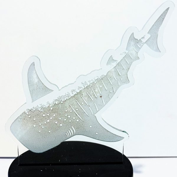 Nightlights Under the Sea - Whale Shark LED Nightlight Insert Online Hot Sale - Image 2