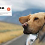 Popular Science - Secrets of a Dogs Mind: Decoding Your Pet s Body Language and Figuring Out Their Thoughts and Feelings! Find Out the Real Meaning Behind All of the Woofs, Barks and Growls! Fashion - Image 4