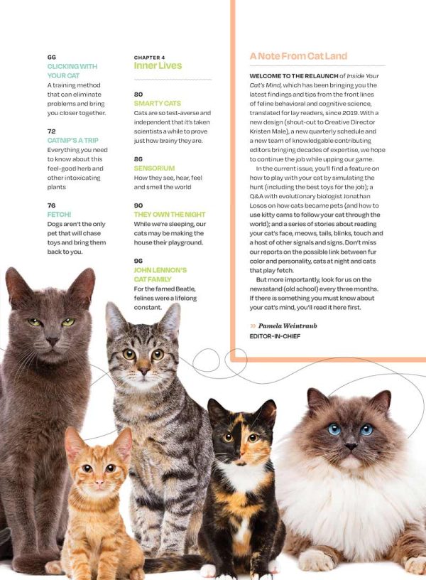 Inside Your Cat s Mind - Reading Cat s Face, Decoding Tails, Whiskers, Blinks, Meow Meaning, How To Play, Sleeping, Catnip, Training, Intelligence Test, Senses & Is Fur Color Linked To Personality? Hot on Sale - Image 3