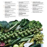 Thyroid Cure - Nature s Best Remedies: Take Control of Your Metabolism, Increase Energy, Lose Weight, Reduce Stress and Sleep Better For Cheap - Image 4