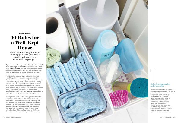 Spring Cleaning Guide - 287 Smart Tips & Tricks, Speed-Cleaning Hacks, Supplies, Stubborn Stains, Pet Messes, Clutter Cures, Storage, Germ Hot Spots, Fresh Scents, Outdoors, DIY Safe Cleaner & More! Supply - Image 2