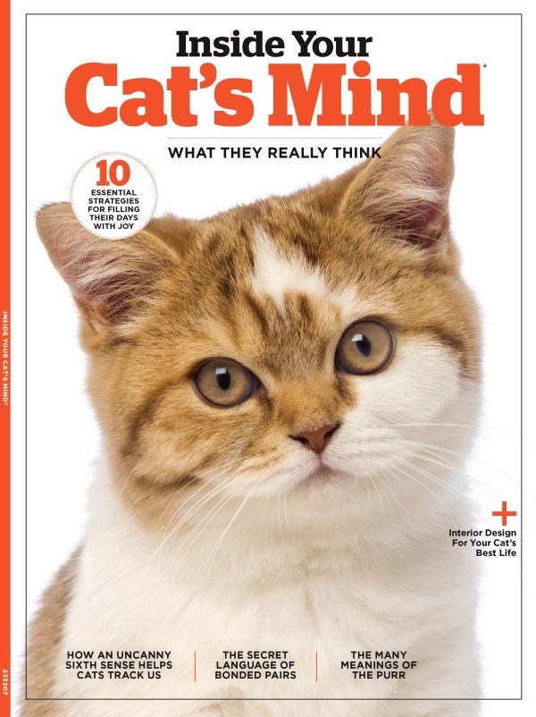 Inside Your Cats Mind - What They Really Think & Need, Dr. Zazie Todd & Mikel Delgado Animal Behaviorist, 10 Essential Strategies For Their Happiness, The Many Meanings Of The Purr & More! For Cheap