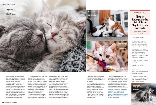 Inside Your Cats Mind - What They Really Think & Need, Dr. Zazie Todd & Mikel Delgado Animal Behaviorist, 10 Essential Strategies For Their Happiness, The Many Meanings Of The Purr & More! For Cheap - Image 4